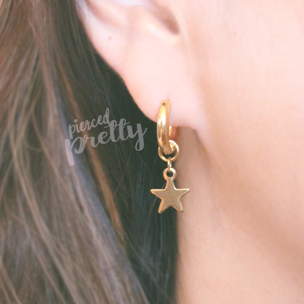 18G 316L Surgical Steel Star Hoops, Silver, Gold, Hypoallergenic Earrings Jewelry, Star Dangle Sold in Pairs