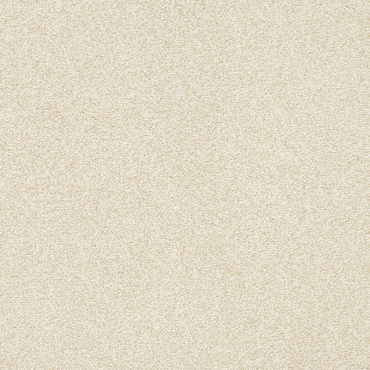 STAINMASTER Vibrant Blend I Whirlwind Textured Carpet Sample (Indoor) Polyester in Brown | STP32-L005-0808