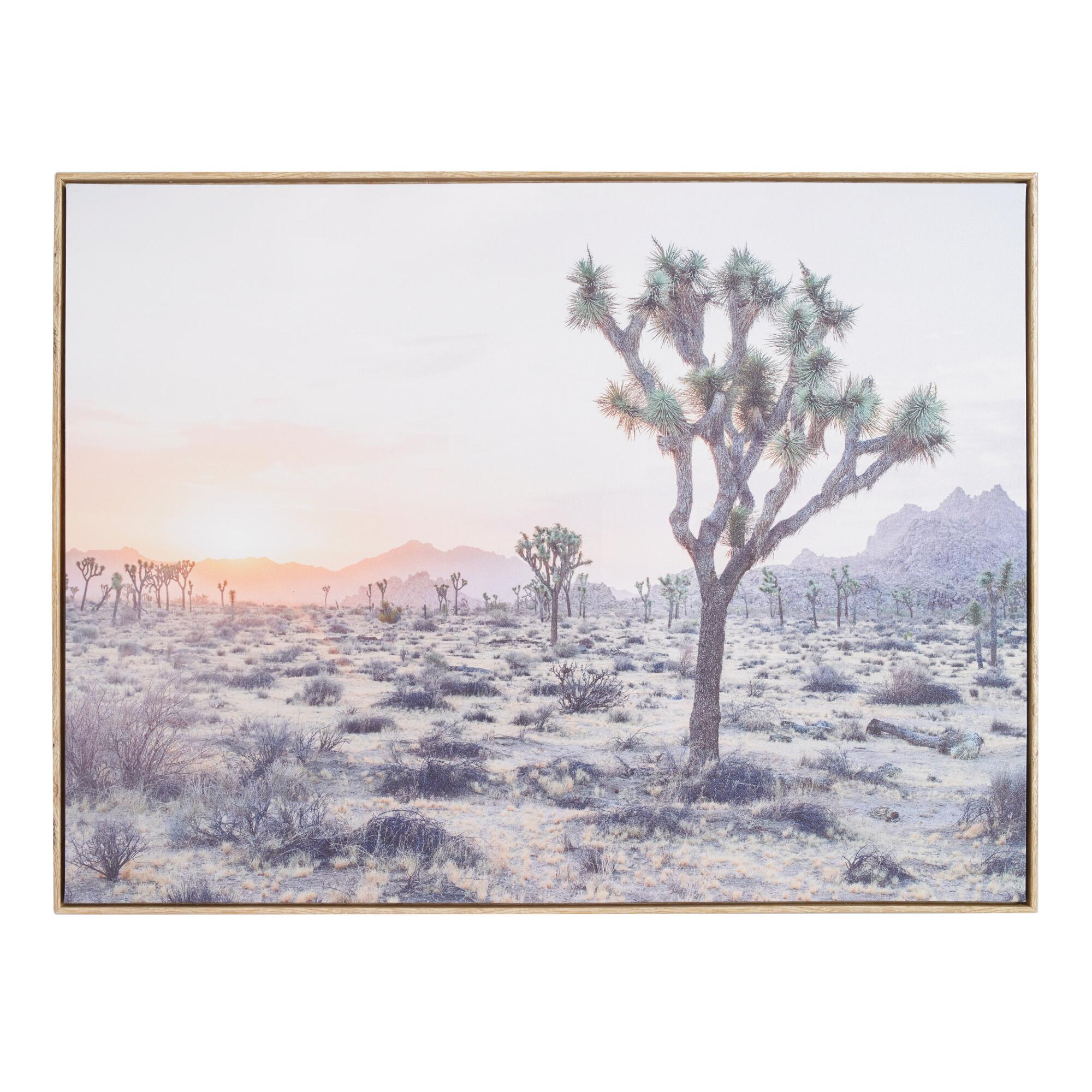 Joshua Tree By Dean Mayo Framed Canvas Wall Art: Multi - Large by World Market