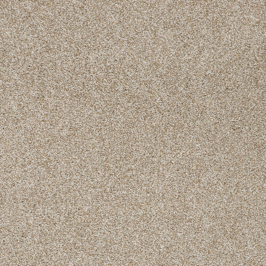 STAINMASTER Vibrant Blend I Nutmeg Textured Carpet Sample (Indoor) Polyester in Brown | STP32-L010-0808