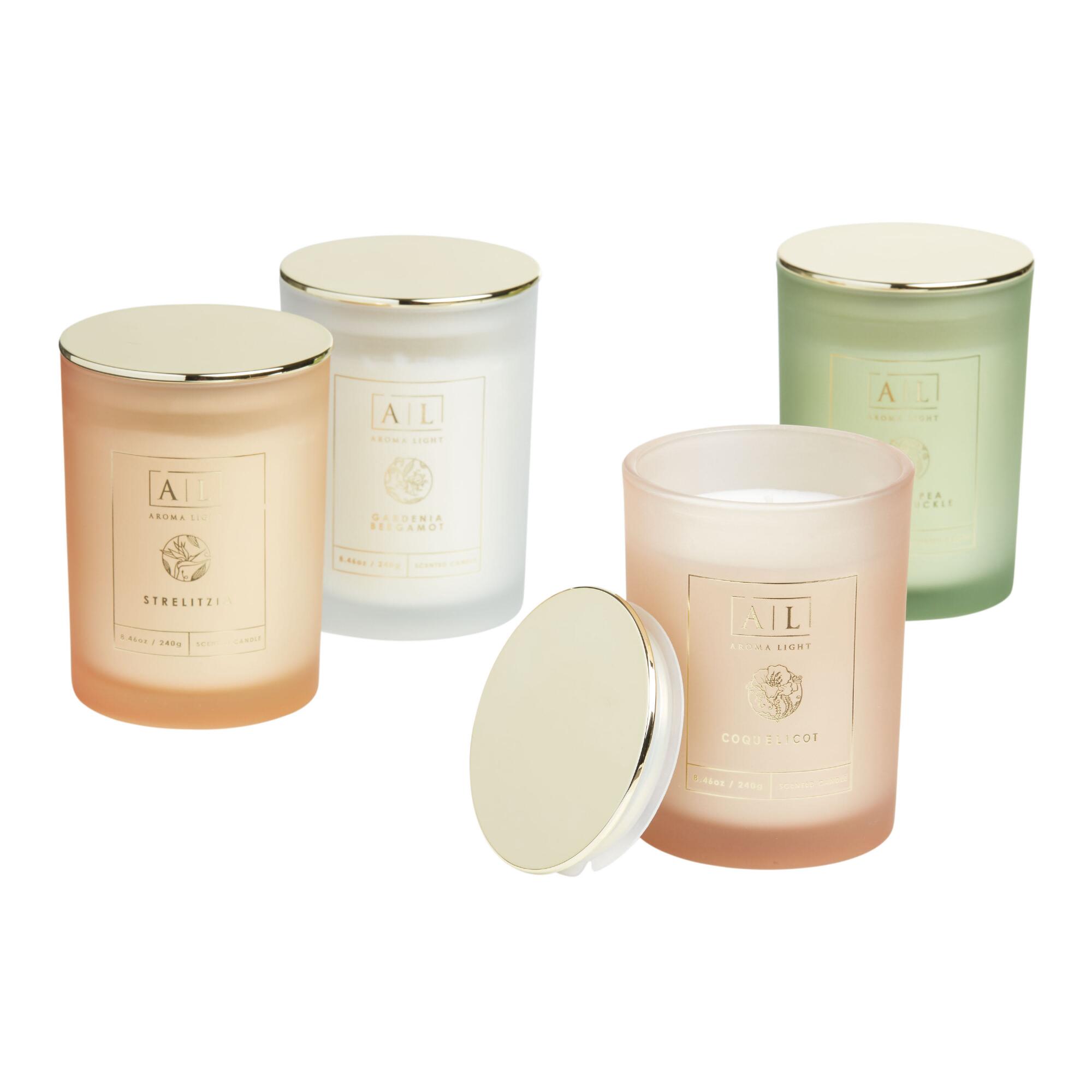 Frosted Glass Scented Candle Collection by World Market