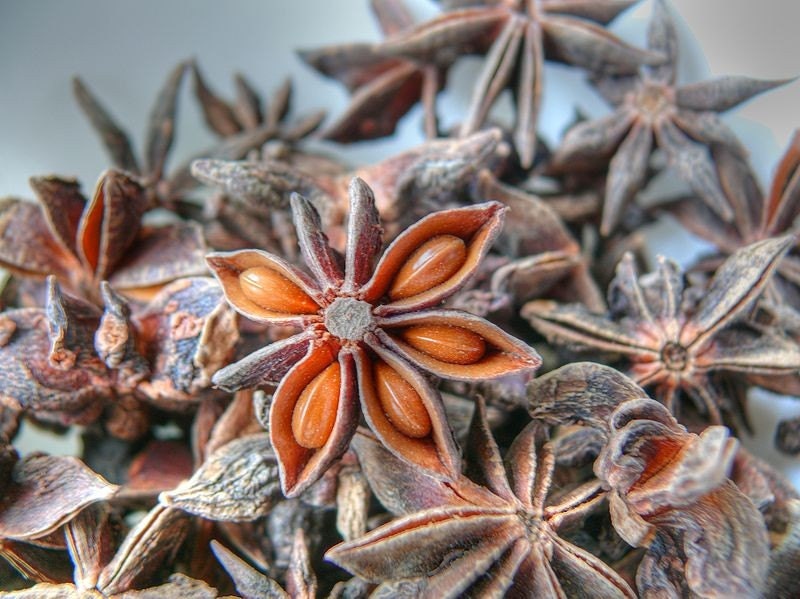Anise Trinity Essential Oil Blend. Star Anise, Anise Seed, Raven. 5 Ml