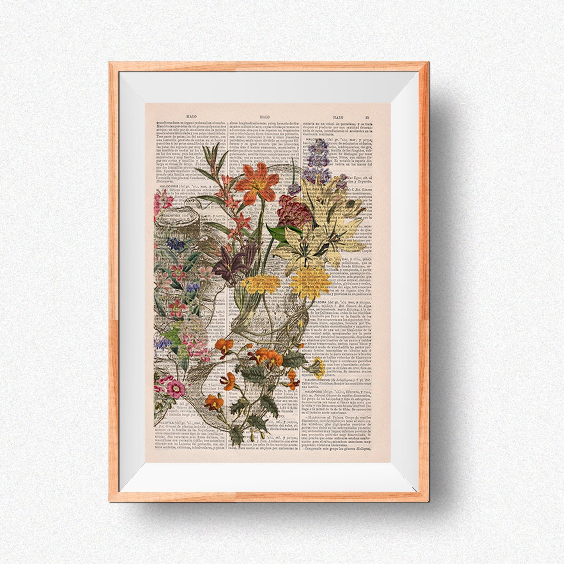 Woman Gift Flower Anatomy Print - Human Poster Pelvis Art Chiropractor Anatomical Wall Ska244