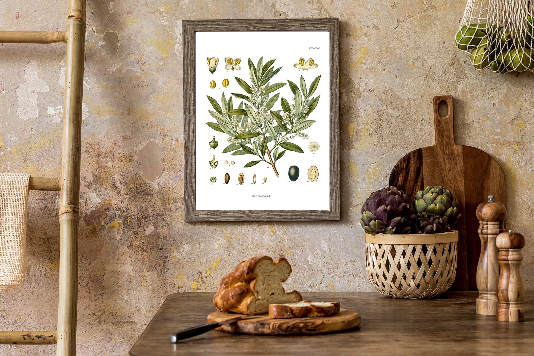 Wall Art Print Olive Plant Botanical Study - Kitchen Wall Green Art- Print- Chart- Bfl269Wa4