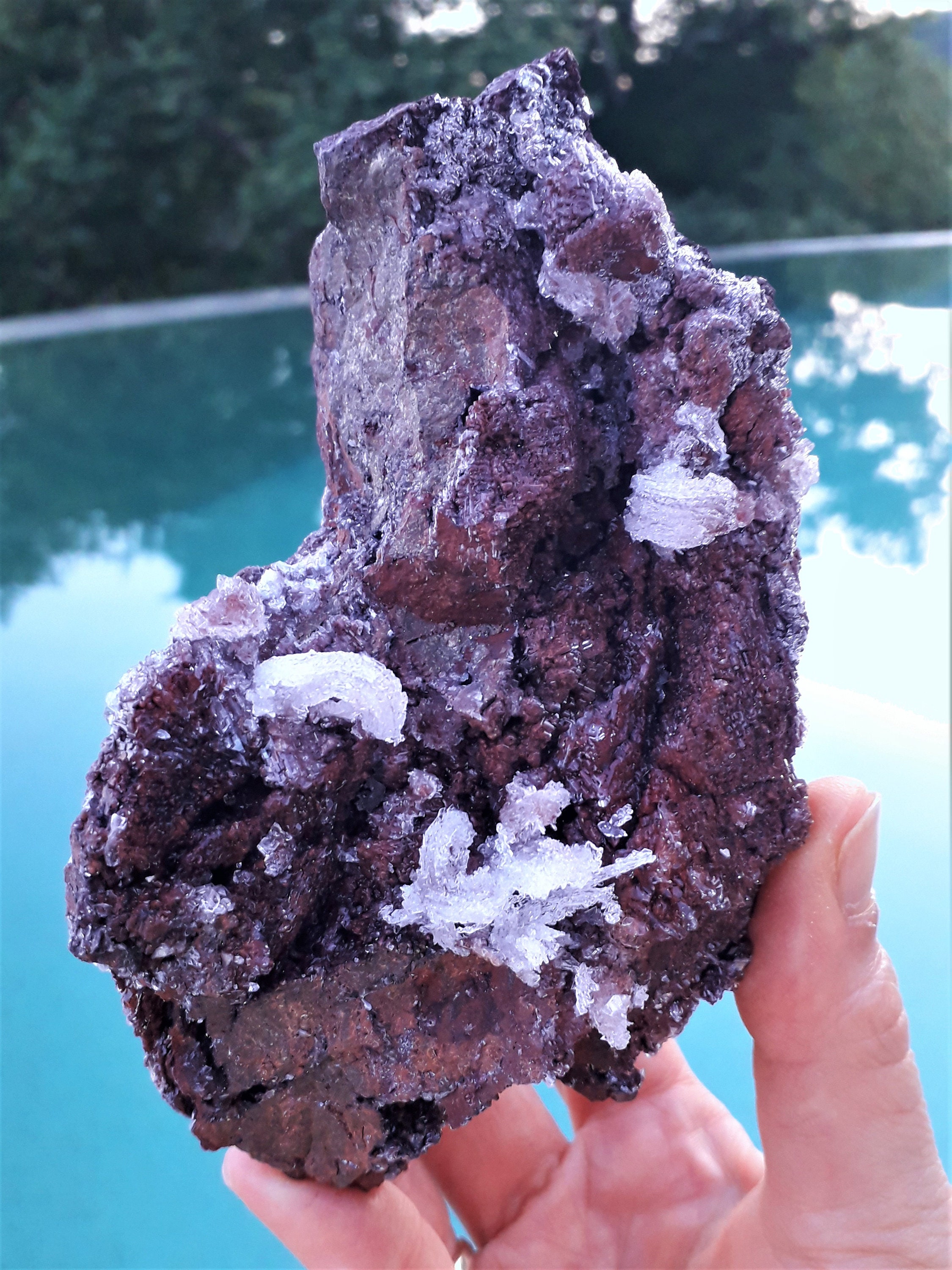 Gypsum Var. Ram's Horn Habit Natural Clear Crystal Quartz Point White Raw Selenite Grid Special Gift Meditation Stone