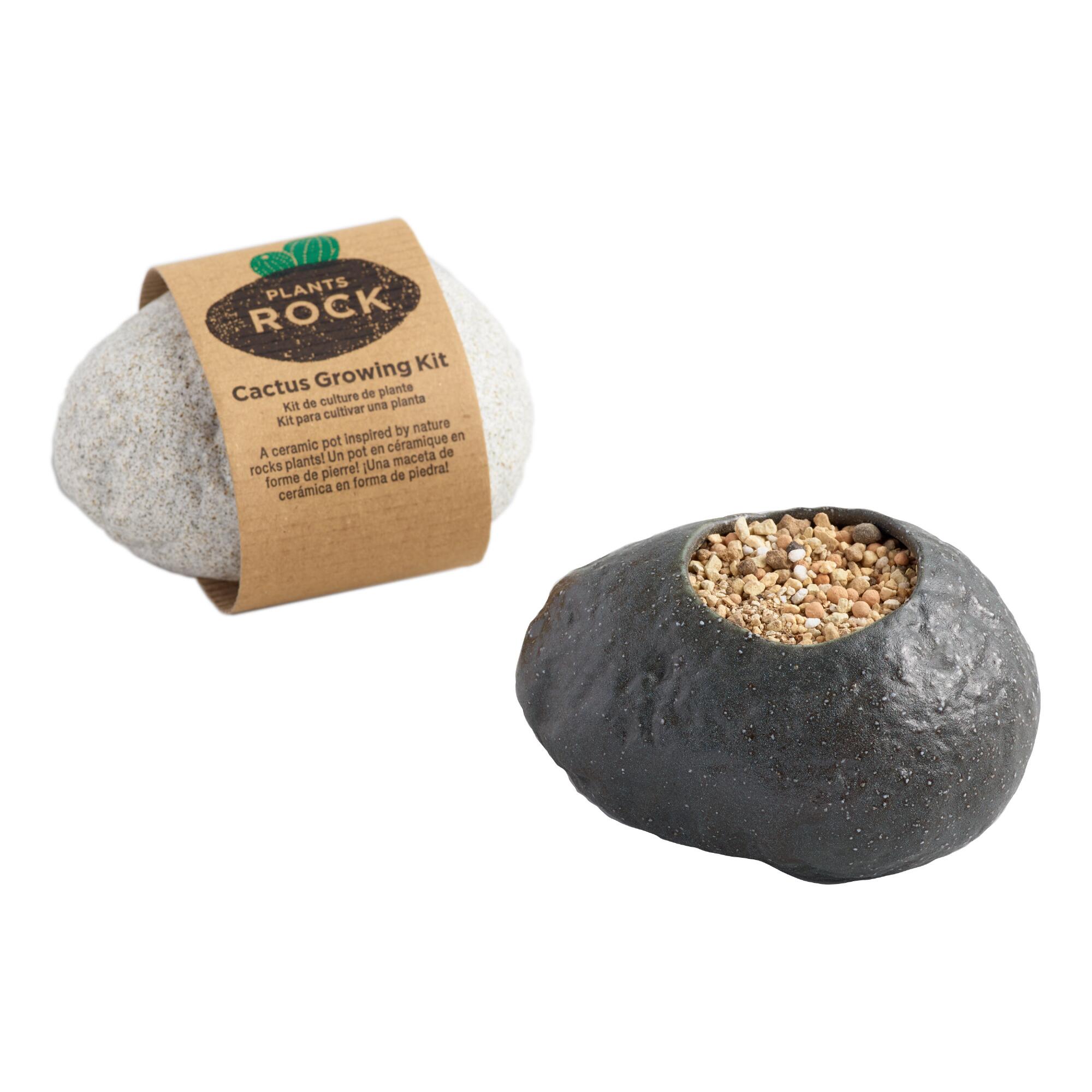 Cactus Ceramic Rock Planter Grow Kit by World Market