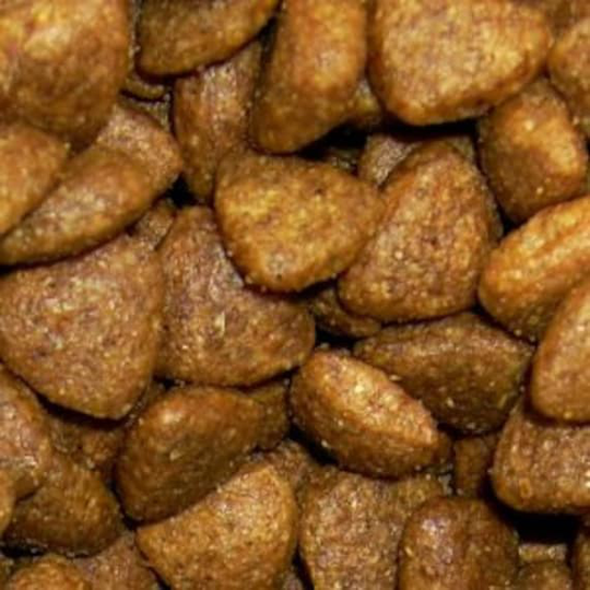 Omega Meowables Cat Treats