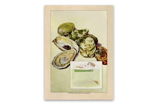 Oyster Print, Old Oysters Illustration, Seafood Kitchen Decor Poster, 1900S Geo43