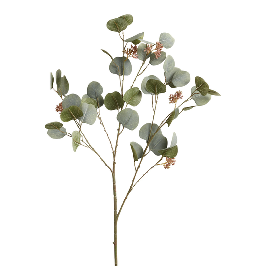 Faux Seeded Silver Dollar Eucalyptus Spray: Green - Plastic by World Market