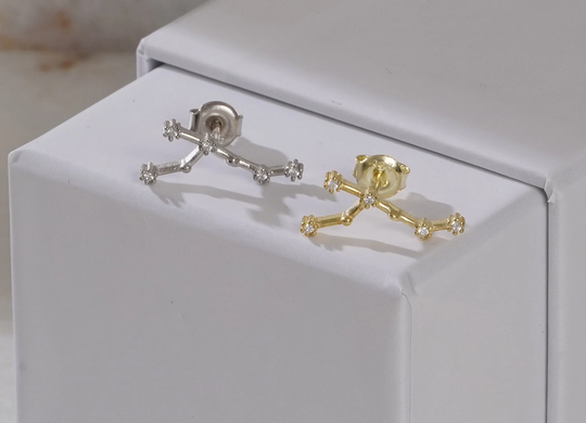 Leo Earring, Zodiac Constellation Earrings, Studs, Astrology Horoscope Earring