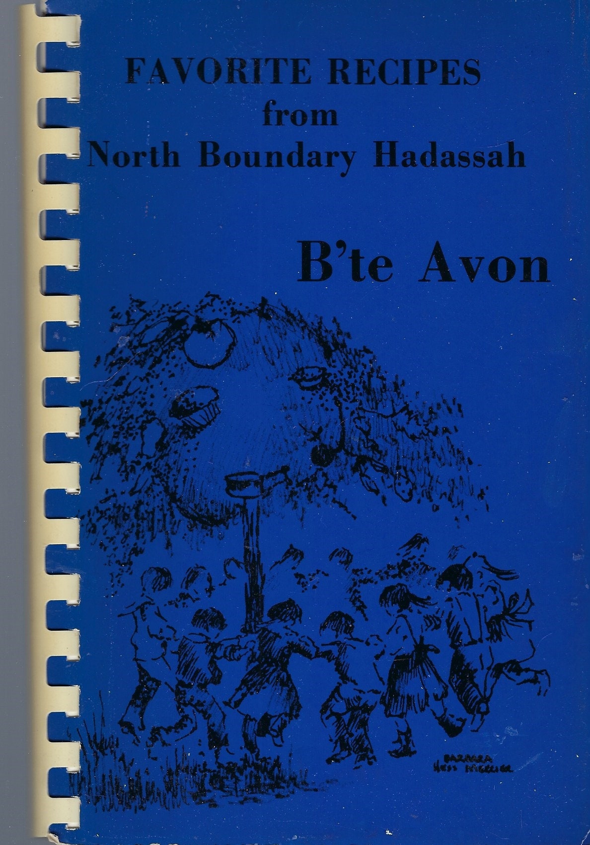 Chicago Illinois Vintage 1983 North Boundary Hadassah B'te Avon Cookbook Ethnic Jewish Holidays & Traditional Recipes Il Community Rare Book