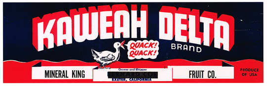 Original Vintage Fruit Crate Label 1950S Kaweah Delta Duck Quack Scarce Exeter California