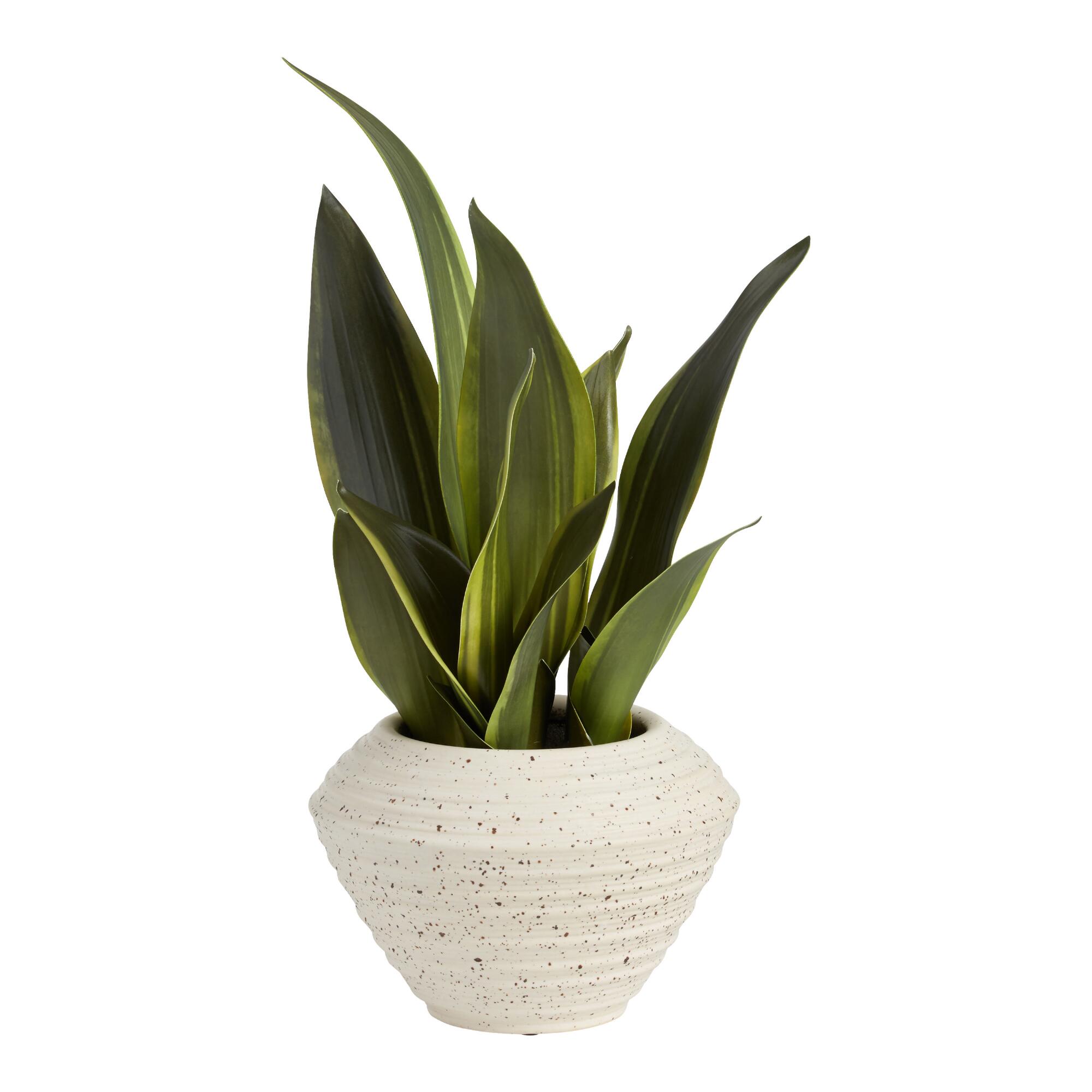 Faux Snake Plant in Speckled Pot: Multi - Plastic - Small by World Market