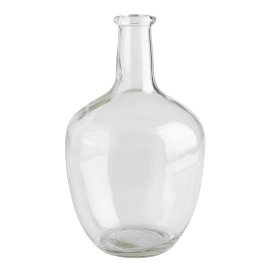 Long Neck Clear Glass Vase by World Market