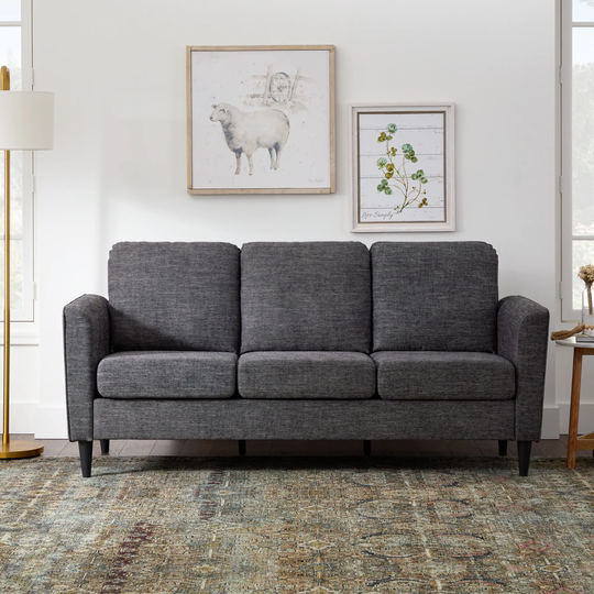 Brookside Clara Modern Charcoal Polyester/Blend Sofa in Gray | BS0009SOF00CH