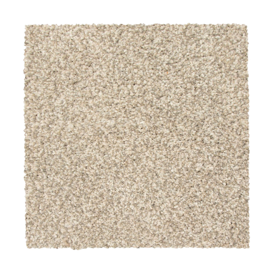 STAINMASTER Vibrant blend II Bird Bath Textured Carpet Sample (Indoor) Polyester in Gray | STP33-L001-0808