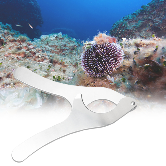 Sea Urchin Scissor High Hardness Anti-deform Stainless Steel Effort-saving Heavy Duty Sea Urchin Cutter for Home