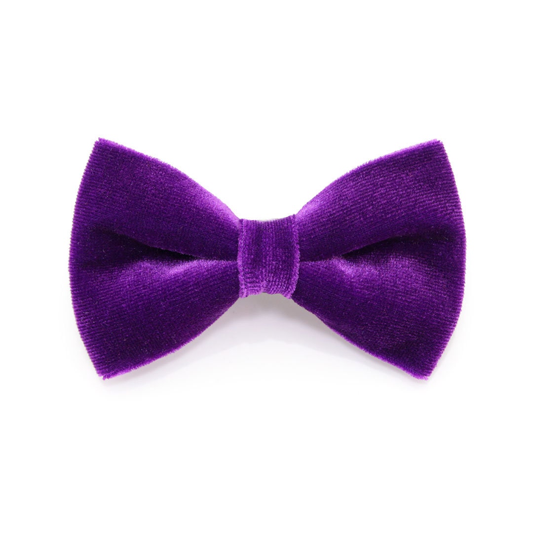 Cat Bow Tie - Velvet Royal Purple Rich For/Fall, Wedding Cat, Kitten, Small Dog Bowtie"