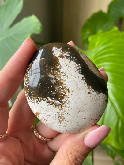 Ocean Jasper Palmstone, Spirit Palm Stone