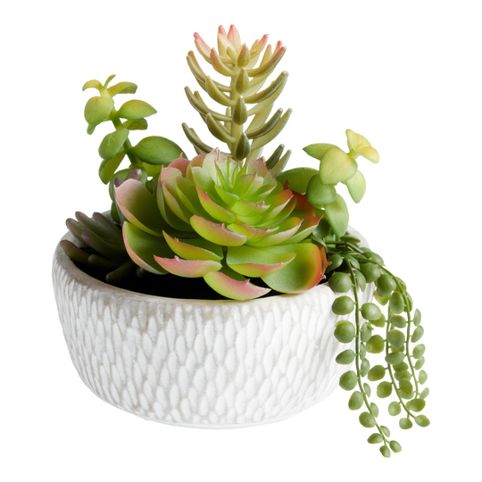 Faux Succulent Arrangement in Gray and White Cement Pot: Multi - Plastic by World Market