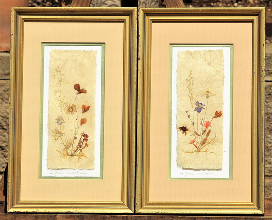 Pressed Dried Wildflower On Handmade Paper, Double Matted & Framed Under Glass, Matching Pair, Signed, Cottagecor, Floral Wall Decor