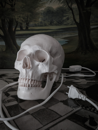 Human Skull Lamp. Medical Model With Light Bulb, Switch & Eu Plug. Gothic Cranium Table Witchy Home Decor. Memento Mori