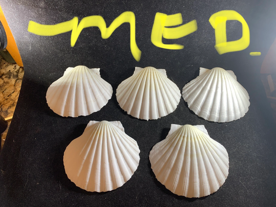 Sets Of Medium & Large Fan Scallop Seashells Seafood Baking Shells Arts Crafts Ocean Decoration More