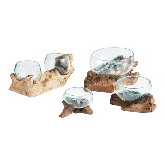 Natural Driftwood and Blown Glass Bowl Decor Collection by World Market