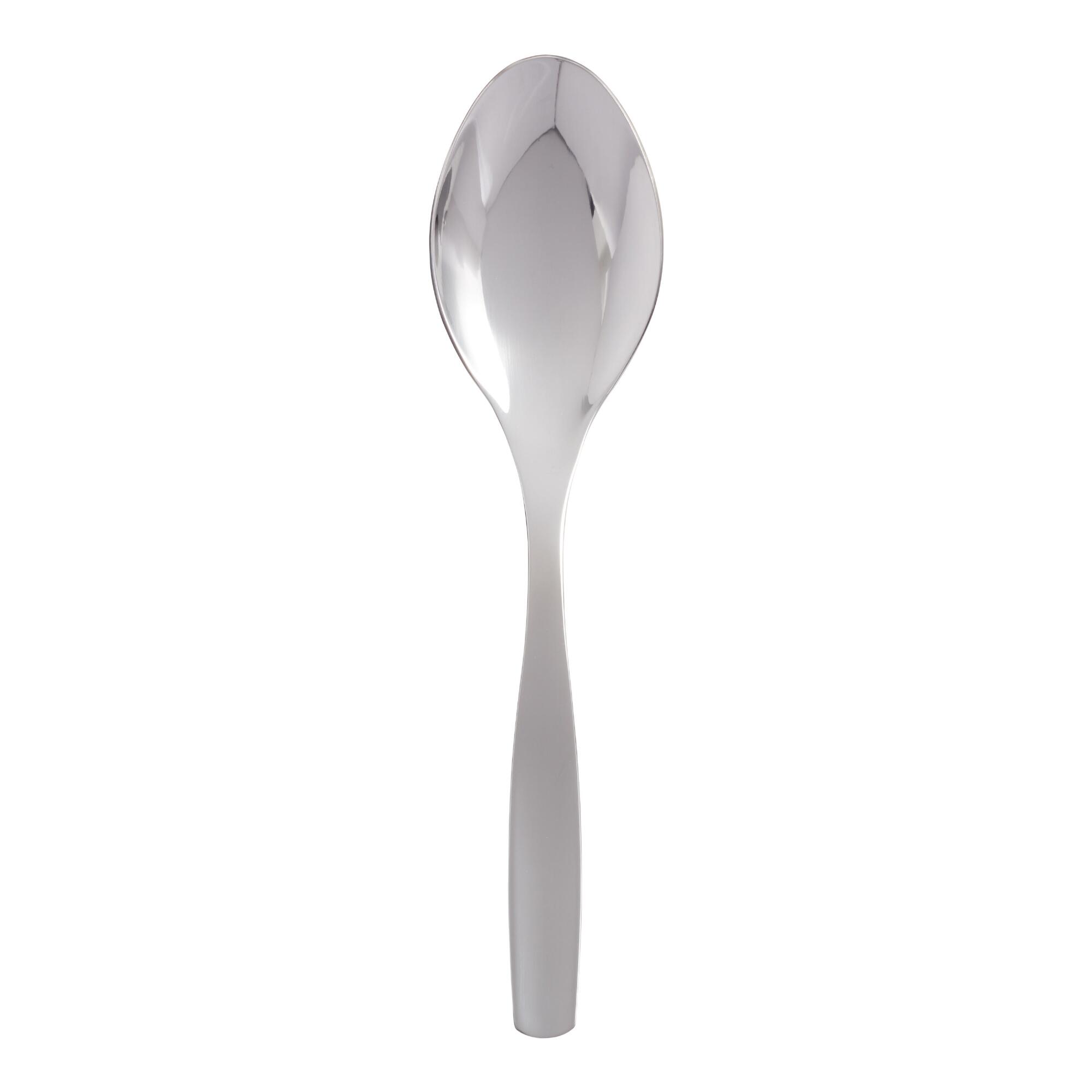 Luna Serving Spoon - Stainless Steel by World Market