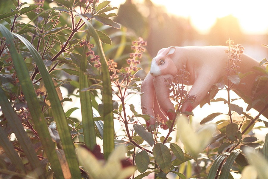 May, Rabbit Ring , Animal Ring