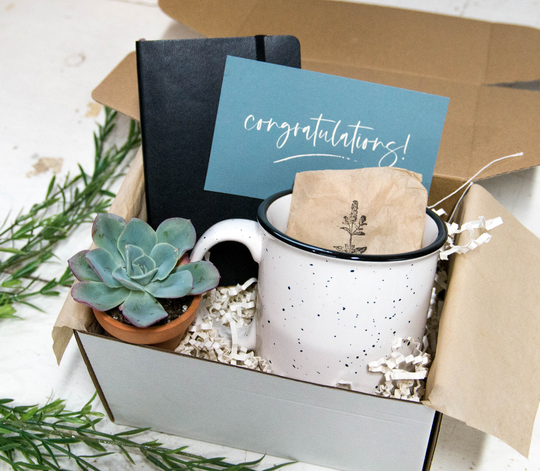 Congratulations Gift Box With Leather Journal & Campfire Mug | Succulent New Job Promotion Engaged Homeowner
