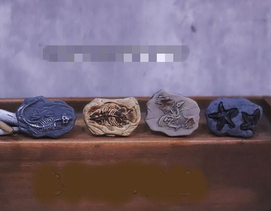 112 Dollhouse Miniature Fossil A25
