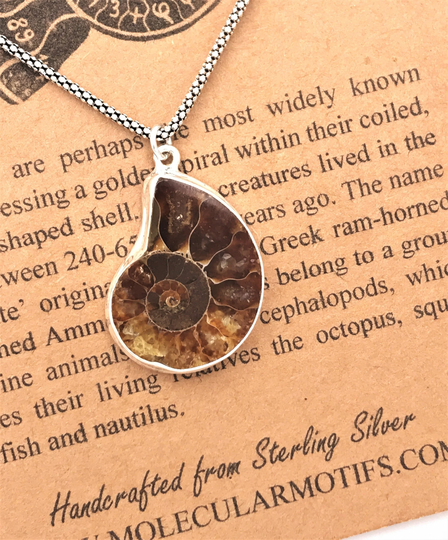 Ammonite Sterling Silver Pendant Necklace-Golden Ratio in Nature-Nautilus Fossil Science Gift-Ooak