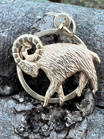 Aries Pendant, Yellow Gold Charm, Round Charm