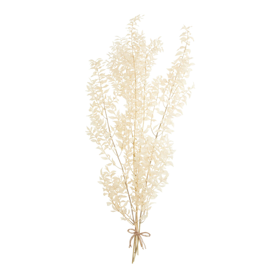 Dried Bleached Ruscus Bunch: White - Natural Fiber by World Market