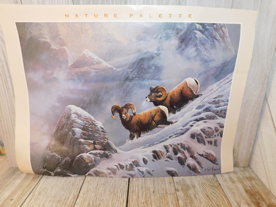 Vintage Calendar Picture Of A Rams, Rams Print, Wild Life, Home Decor, Gift, Prop, Daysgonebytreasures