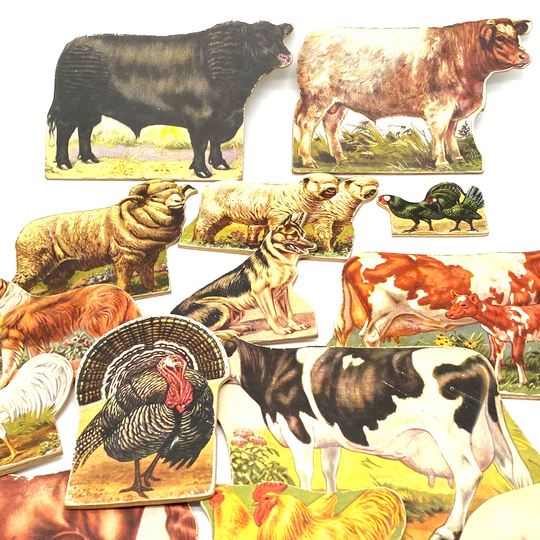 Set Of 17 Antique Country Schoolhouse Cardboard - Lithograph Farm Animals Die Cuts Descriptions & Facts Each Animal On The Back
