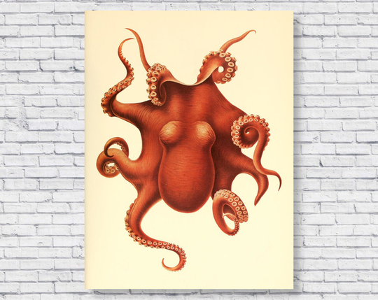 Octopus Red Vintage Poster Print, Nautical Beach House Decor Home Wall Art Bathroom Botanical Sea Ocean Nature Water