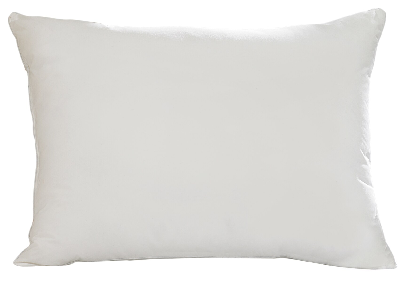 Aller-Ease 20-in x 30-in White Blend Indoor Decorative Pillow Polyester | 31013ATC