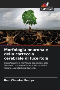Morfologia neuronale della corteccia cerebrale di lucertola Ram Chandra Maurya Author