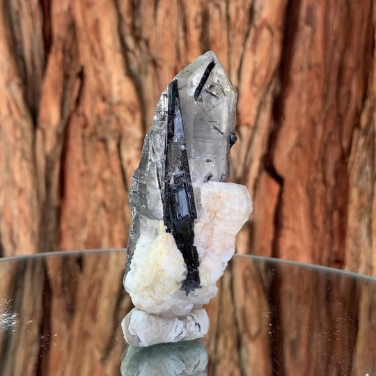 7cm 70G Black Tourmaline with Himalayan Clear Quartz Crystal Stone From Gon Mine, Nid, Shigar District, Gilgit-Baltistan, Pakistan
