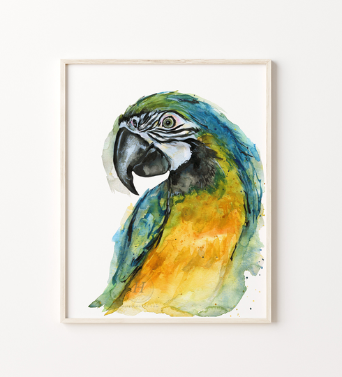 Parrot Print Tropical Bird Watercolor Wall Art Exotic Birds