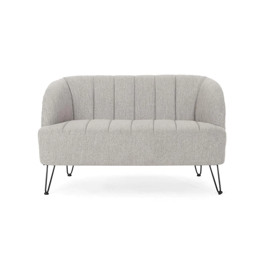 Best Selling Home Decor Lupine Modern Light Gray Polyester/Blend Loveseat | 309513
