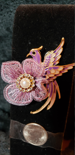 Purple Humming Bird