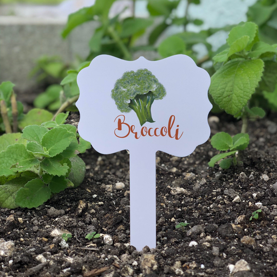 Broccoli Aluminum Garden Marker Small 7x4 In./Labels Sign Vegetable Plant