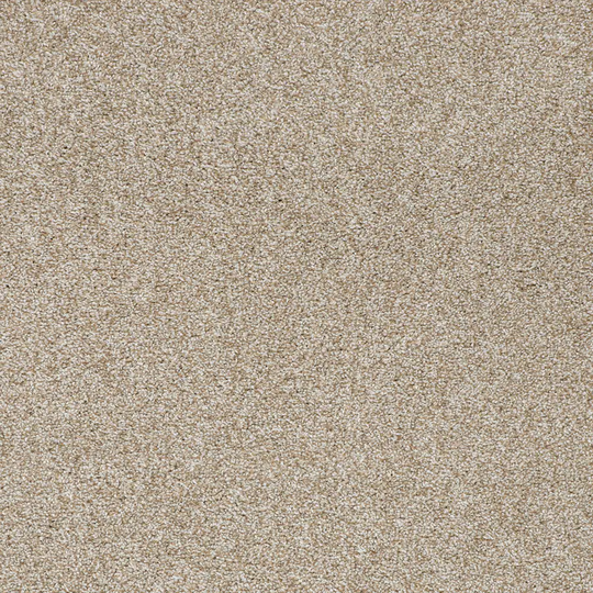 STAINMASTER Vibrant blend II Nutmeg Textured Carpet Sample (Indoor) Polyester in Brown | STP33-L010-0808