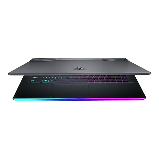 MSI GE66 10SGS 288 Raider 15.6" Notebook, Intel i7, 32GB Memory, 1TB SSD, Windows 10 (GE66288)
