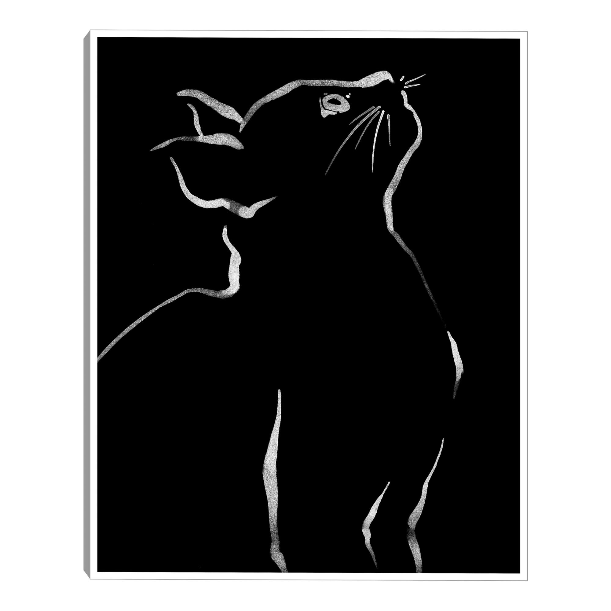 Feline Friends Look By Kristine Hegre Framed Canvas Wall Art: Black/White by World Market