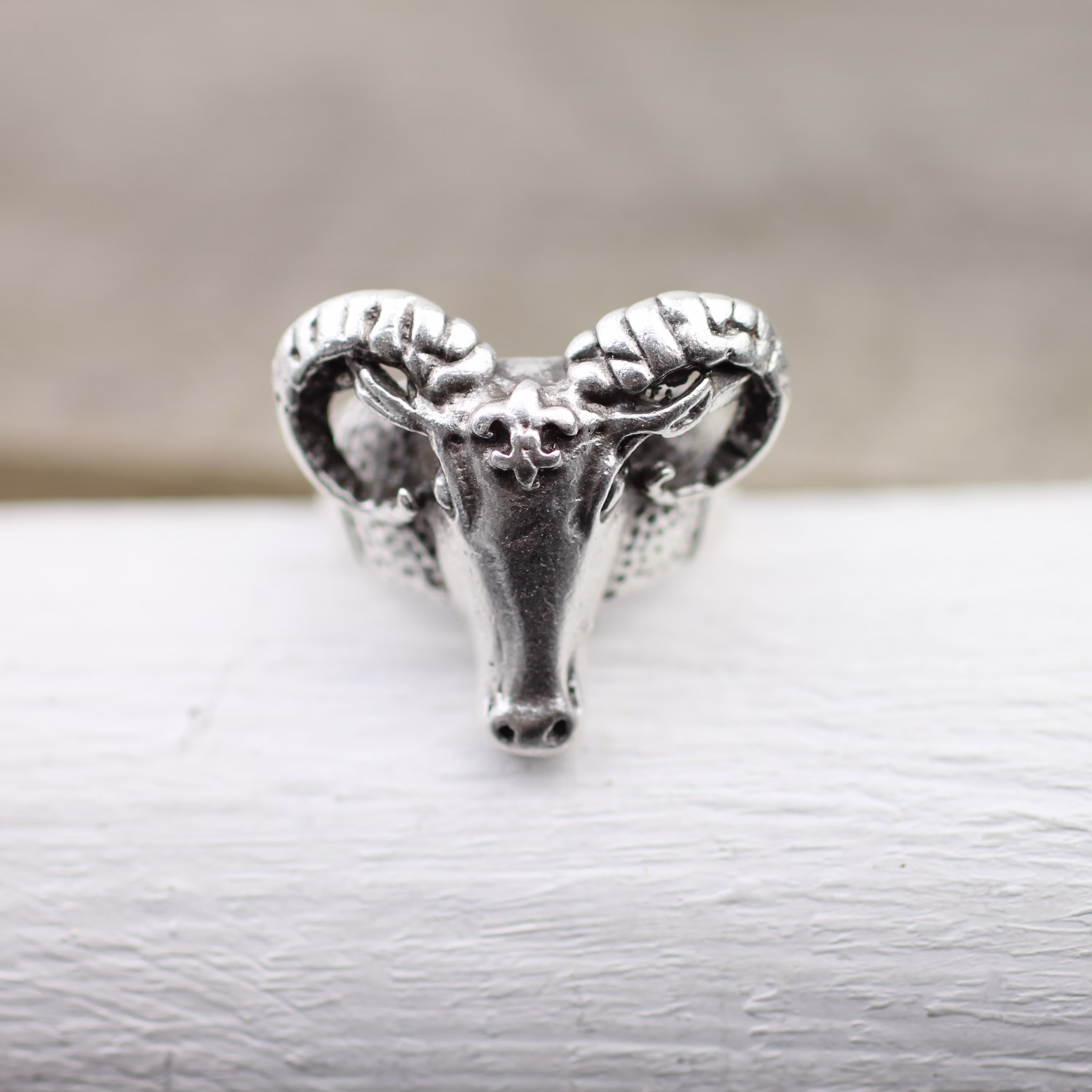Ram Head Ring, Silver Ram Aries Ring, Horn Zodiac Animal Gothic Boho Goat Jewelry R412