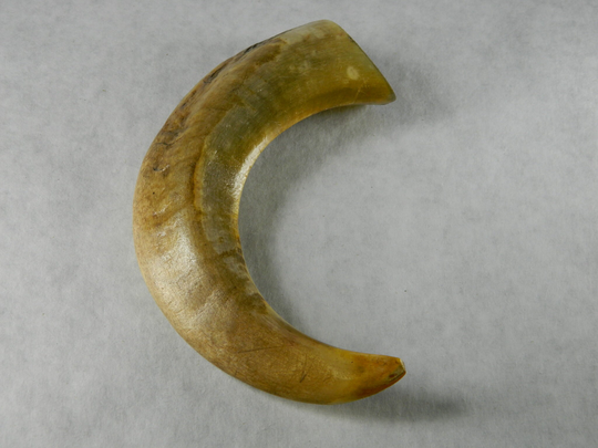 1 Natural Rams Horn - Ethically Harvested Sheep Horn; Jewelry Making, Craft Projects, Cosplay Perfect Gift, Chew Toy, Zq54